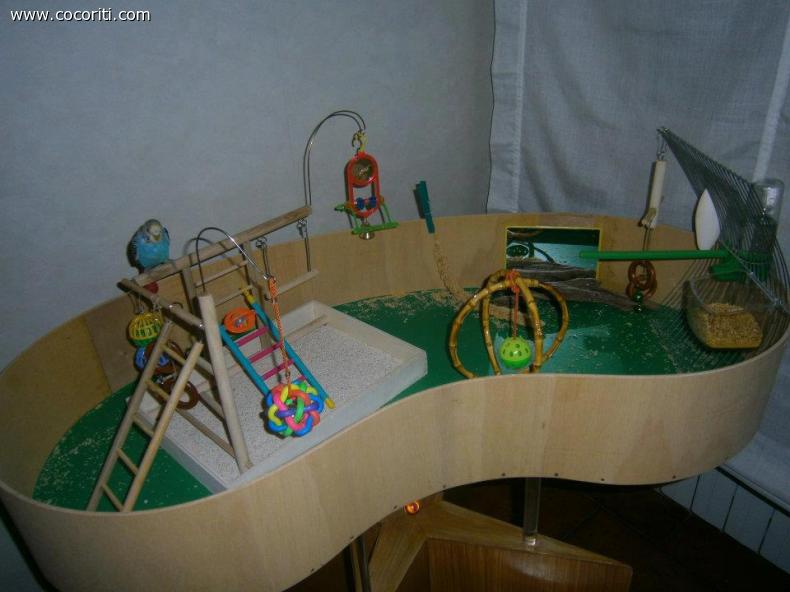 Puck gym!